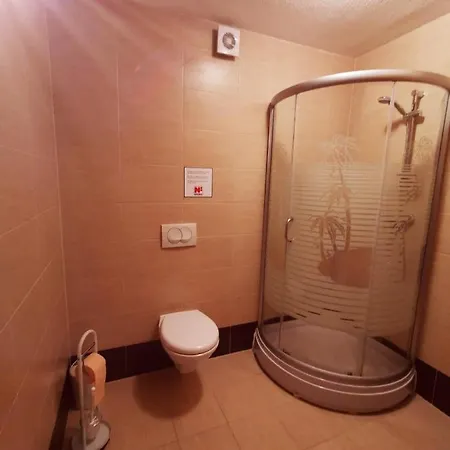 Apartmenthaus Viktoria *